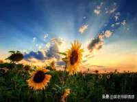 黑龙江铭匠门业有限公司