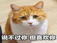 黑龙江铭匠门业有限公司