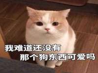 黑龙江铭匠门业有限公司