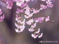 黑龙江铭匠门业有限公司