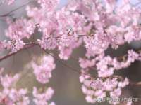 黑龙江铭匠门业有限公司