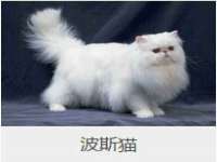 黑龙江铭匠门业有限公司