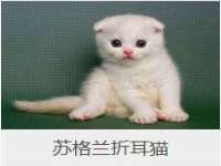 黑龙江铭匠门业有限公司