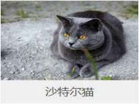 黑龙江铭匠门业有限公司