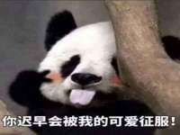 黑龙江铭匠门业有限公司