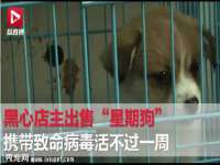 黑龙江铭匠门业有限公司