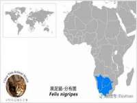 黑龙江铭匠门业有限公司