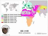 黑龙江铭匠门业有限公司