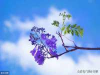 黑龙江铭匠门业有限公司