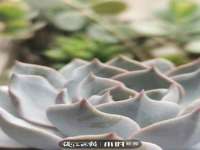 黑龙江铭匠门业有限公司