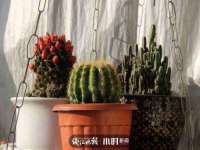 黑龙江铭匠门业有限公司