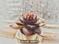 黑龙江铭匠门业有限公司