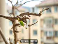 黑龙江铭匠门业有限公司