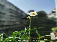 黑龙江铭匠门业有限公司