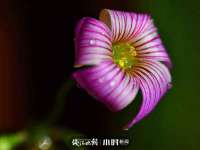 黑龙江铭匠门业有限公司