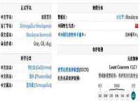 黑龙江铭匠门业有限公司