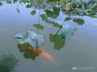 黑龙江铭匠门业有限公司
