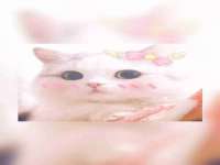 黑龙江铭匠门业有限公司