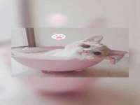 黑龙江铭匠门业有限公司