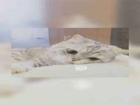 黑龙江铭匠门业有限公司