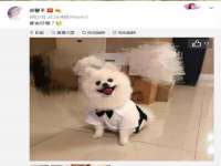 黑龙江铭匠门业有限公司