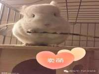 黑龙江铭匠门业有限公司