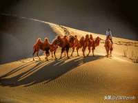 黑龙江铭匠门业有限公司