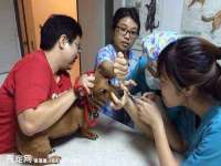 黑龙江铭匠门业有限公司