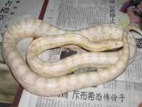黑龙江铭匠门业有限公司